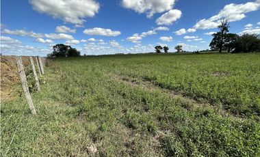 Campo en venta en Ranchos. 117 Has mixtas sobre ruta 29