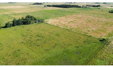 Campo en venta en Ranchos. 117 Has mixtas sobre ruta 29