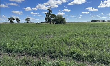 Campo en venta en Ranchos. 117 Has mixtas sobre ruta 29