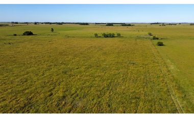 Campo en venta en Ranchos. 117 Has mixtas sobre ruta 29