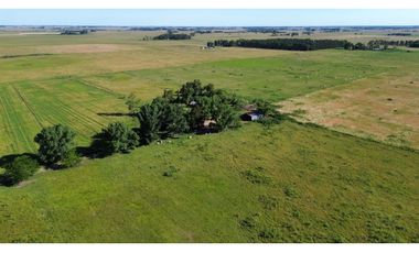 Campo en venta en Ranchos. 117 Has mixtas sobre ruta 29