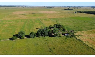 Campo en venta en Ranchos. 117 Has mixtas sobre ruta 29
