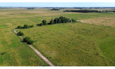 Campo en venta en Ranchos. 117 Has mixtas sobre ruta 29