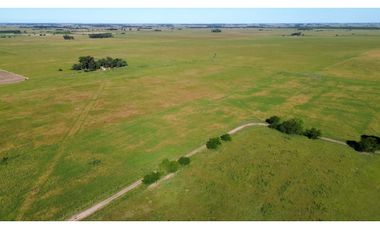 Campo en venta en Ranchos. 117 Has mixtas sobre ruta 29