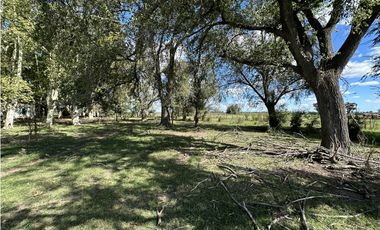Campo en venta en Ranchos. 117 Has mixtas sobre ruta 29