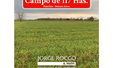 Campo en venta en Ranchos. 117 Has mixtas sobre ruta 29