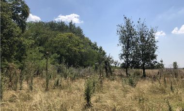 Campo en venta en San Vicente. 377 Has. mixtas