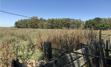 Campo en venta en San Vicente. 377 Has. mixtas