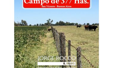 Campo en venta en San Vicente. 377 Has. mixtas