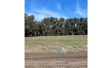 terreno sobre calle 187 y 68 de 500m2