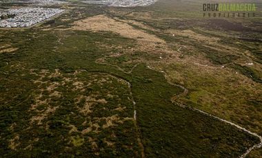 Terreno Construccion  en Venta en Alerce