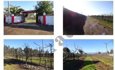 Agrícola en Venta en sector El Cisne parcela 22 lote C y D