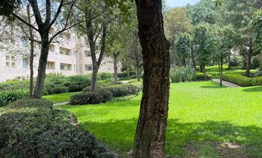Penthouse de Lujo en Residencial Parque Escondido: Tu Oasis Urbano