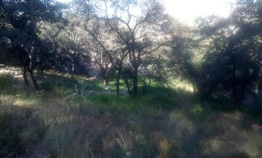 OPORTUNIDAD - Terreno en Venta en Rancho San Juan