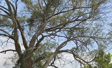 Santa Maria Caliaca, Teoluyucan,La mejor alternativa para Fabrica HT324