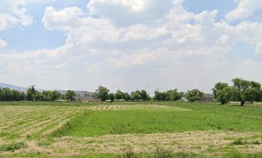 Santa Maria Caliaca, Teoluyucan,La mejor alternativa para Fabrica HT324