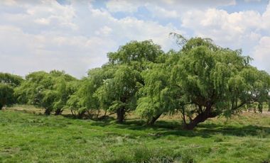 Santa Maria Caliaca, Teoluyucan,La mejor alternativa para Fabrica HT324