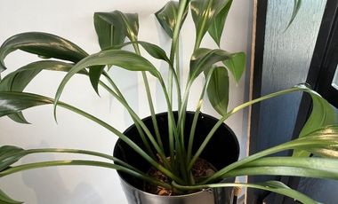 Departamento en Venta, ubicado en La Estadía, Atizapán de Zaragoza DEV214