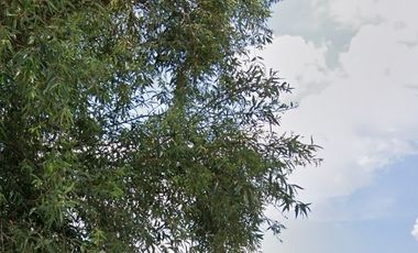 Terreno en Venta, ubicado en Teoloyucan de vocación industrial Cod. TV364