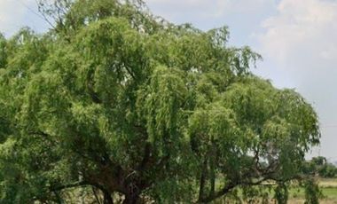 Terreno en Venta, ubicado en Teoloyucan de vocación industrial Cod. TV364