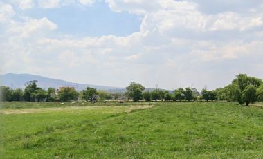 Terreno en Venta, ubicado en Teoloyucan de vocación industrial Cod. TV364