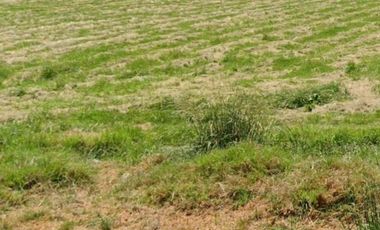 Terreno en Venta, ubicado en Teoloyucan de vocación industrial Cod. TV364