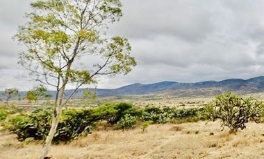 Inmejorable inversión para desarrollo