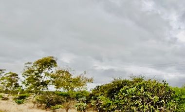 Inmejorable inversión para desarrollo