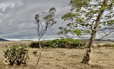 Inmejorable inversión para desarrollo