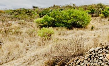 Inmejorable inversión para desarrollo