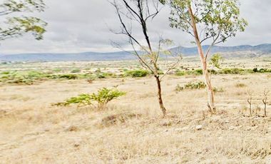 Inmejorable inversión para desarrollo