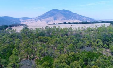 Inmejorable inversión para desarrollo