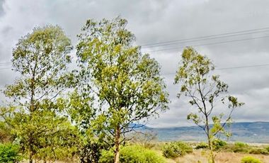 Inmejorable inversión para desarrollo