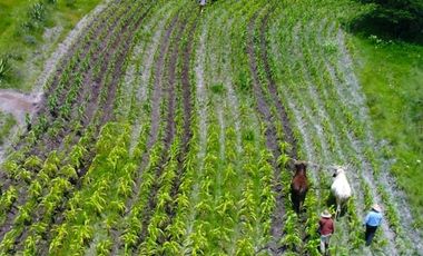 Inmejorable inversión para desarrollo