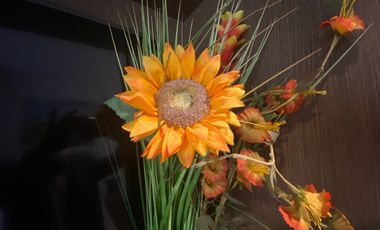 Casa en Venta Bosques de Lago VBL530