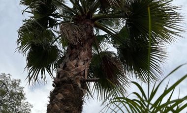 Casa en Venta Bosques de Lago VBL530