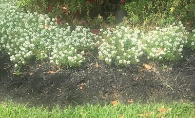 Casa en Venta Bosques de Lago VBL530