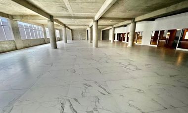 RENTO O VENDO EDIFICIO DE OFICINAS CORPORATIVAS, todo o en partes