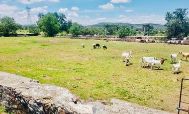 San Juan Del Río, San José Atlán, Huichapan, HT559