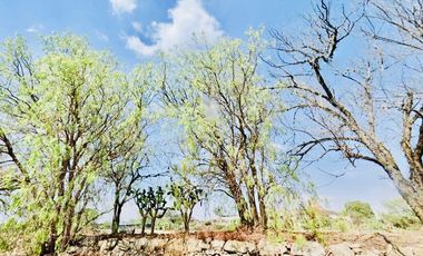 San Juan Del Río, San José Atlán, Huichapan, HT559