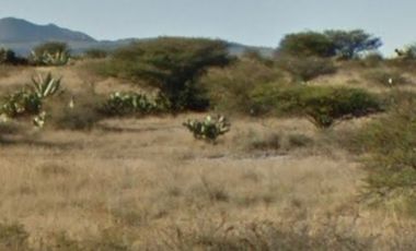 Terreno venta San Bartolo Champantongo, Hidalgo Cod. TV365