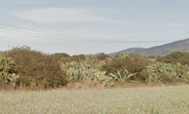 Terreno venta San Bartolo Champantongo, Hidalgo Cod. TV365