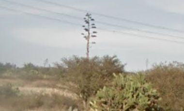 Terreno venta San Bartolo Champantongo, Hidalgo Cod. TV365