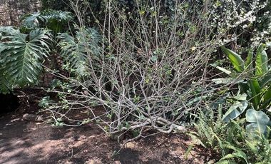 Vendo casa en las arboledas estilo ingles tudor