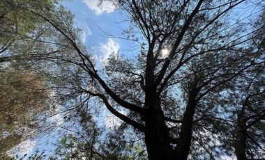 Vendo casa en las arboledas estilo ingles tudor