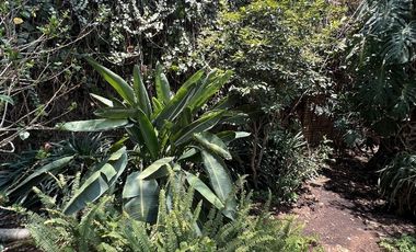 Vendo casa en las arboledas estilo ingles tudor