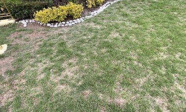 Casa en Venta en Bosques de Lago  VBL529