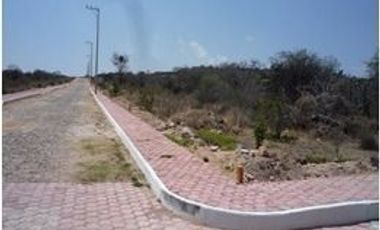 HT295, Dentro de Fraccionamiento