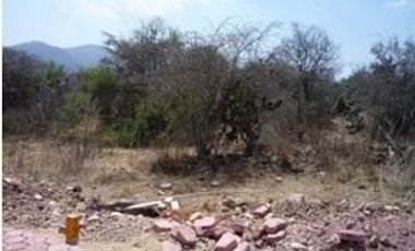 HT295, Dentro de Fraccionamiento