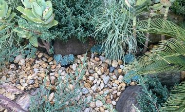 Vendo terreno de 800 Hectareas en Champantongo, Hidalgo Cod. TV361